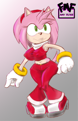 Size: 1325x2044 | Tagged: safe, artist:furmasterflex, amy rose, solo