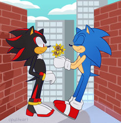 Size: 3808x3848 | Tagged: safe, artist:opalite-art, shadow the hedgehog, sonic the hedgehog, city escape, 2020, abstract background, brick wall, cityscape, clouds, daytime, duo, eyes closed, flower, flustered, frown, gay, looking at something, offering flower, outdoors, shadow x sonic, shipping, signature, smile, standing, sunflower