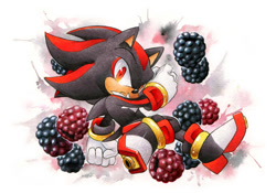 Size: 1280x896 | Tagged: safe, artist:finikart, shadow the hedgehog, blackberry