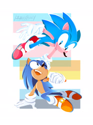 Size: 1535x2048 | Tagged: safe, artist:n0ughtical-nonsense, sonic the hedgehog, ace, aro ace pride, aromantic, duality, flag, pride, pride flag, signature, simple background, trans male, trans pride, transgender, white background