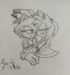 Size: 1080x1156 | Tagged: safe, artist:blaze-the-cat2006, amy rose, blaze the cat, cat, hedgehog, 2024, amy x blaze, duo, eyes closed, female, females only, holding them, lesbian, lidded eyes, line art, looking at them, pencilwork, shipping, signature, sketch, smile, traditional media