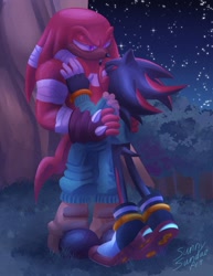 Size: 1583x2048 | Tagged: safe, artist:sunnysundaeart, knuckles the echidna, shadow the hedgehog, 2024, abstract background, alternate outfit, clothes, duo, gay, grass, knuxadow, lidded eyes, lineless, looking at each other, nighttime, outdoors, shipping, signature, sonic boom (tv), standing, star (sky)
