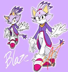 Size: 2048x2162 | Tagged: safe, artist:moondust-artz, blaze the cat, 2024, character name, frown, looking at viewer, outline, purple background, redraw, reference inset, signature, simple background, solo, standing