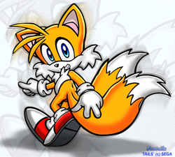 Size: 800x720 | Tagged: safe, artist:foxtails, miles "tails" prower, 2005, echo background, looking at viewer, pointing, signature, smile, solo, v sign