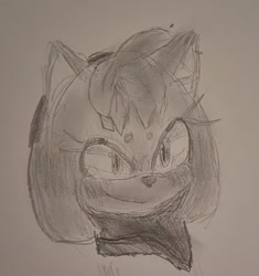 Size: 1765x1875 | Tagged: safe, artist:raythefartpooe, amy rose, 2024, beanbrows, greyscale, head only, looking offscreen, monochrome, movie style, pencilwork, smile, solo, traditional media