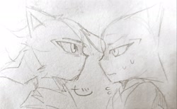 Size: 2048x1264 | Tagged: safe, artist:wooooofwooooof, espio the chameleon, shadow the hedgehog, 2024, duo, frown, gay, line art, looking at each other, monochrome, pencilwork, shadpio, shipping, sweatdrop, traditional media