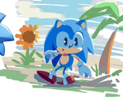 Size: 1503x1222 | Tagged: safe, artist:rneku64661, sonic the hedgehog, classic sonic, clouds, daytime, flower, outdoors, palm tree, solo, sunflower