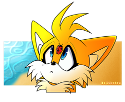 Size: 1600x1298 | Tagged: safe, artist:nejishadow, miles "tails" prower, 2022, :<, bug, cute, freckles, frown, ladybug, literal animal, looking at something, semi-transparent background, signature, solo, tailabetes