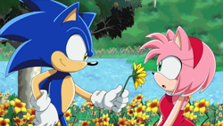 Size: 1870x1060 | Tagged: safe, artist:recolouradventures, amy rose, sonic the hedgehog, amy x sonic, edit, flowers, hand on hip, holding something, looking at each other, recolor, shipping