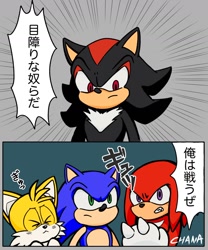 Size: 1212x1459 | Tagged: safe, artist:tailchana, knuckles the echidna, miles "tails" prower, shadow the hedgehog, sonic the hedgehog, sonic the hedgehog 3 (film), 2025, frown, group, japanese text, signature