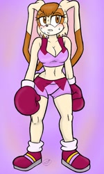 Size: 1200x2000 | Tagged: safe, artist:mel-sky, vanilla the rabbit, boxing gloves, boxing shorts, sports bra