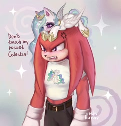 Size: 1440x1491 | Tagged: safe, artist:prclnbunny, knuckles the echidna, crossover, my little pony, princess celestia