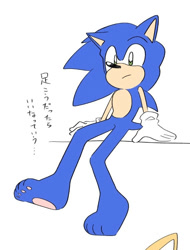 Size: 676x889 | Tagged: safe, artist:oudooooon427, sonic the hedgehog, barefoot, japanese text, pawpads, simple background, sitting, solo, white background