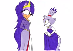 Size: 3496x2478 | Tagged: safe, artist:killerteddybear94, blaze the cat, queen aleena, dress, duo, looking at each other, simple background, white background