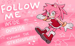 Size: 1139x702 | Tagged: safe, artist:flameheart87, amy rose, hedgehog, alternate hairstyle, english text, female, follow me (song), freckles, hearts, lyrics, pink background, rose, signature, solo, song lyrics, star (symbol)