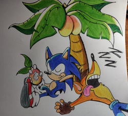 Size: 2048x1857 | Tagged: safe, artist:cosmicseternity, sonic the hedgehog, crash bandicoot, sleeping, wumpa fruit