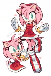 Size: 1077x1607 | Tagged: safe, artist:kiioki11, amy rose
