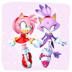Size: 1158x1170 | Tagged: safe, artist:drawchill_s, amy rose, blaze the cat