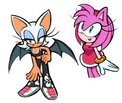 Size: 1482x1248 | Tagged: safe, artist:rodka_sth, amy rose, rouge the bat, 2024, duo, riders outfit, simple background, sonic riders, white background