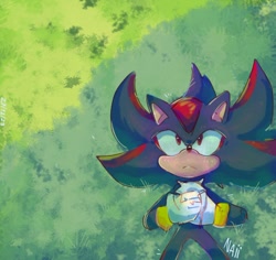 Size: 802x757 | Tagged: safe, artist:iluskonai, shadow the hedgehog, 2024, abstract background, daytime, frown, grass, hands together, looking up, lying down, outdoors, signature, solo