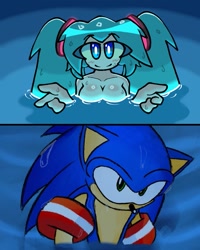 Size: 719x900 | Tagged: safe, artist:dobtofficial, sonic the hedgehog, hatsune miku, swimming, water, wet