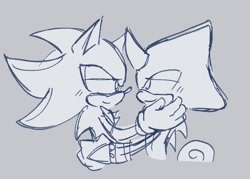 Size: 1319x944 | Tagged: safe, artist:aleespace-art, espio the chameleon, shadow the hedgehog, 2025, duo, gay, grey background, holding each other, lidded eyes, looking at each other, monochrome, shadpio, shipping, simple background, sketch, smile