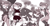 Size: 4530x2400 | Tagged: safe, artist:kc456-art, sally acorn, sonic the hedgehog, chipmunk, hedgehog, 2024, blushing, female, fleetway sally, greyscale, group, male, sailor moon sally, sally x sonic, sally's ringblader outfit, sally's vest and boots, shipping, straight