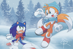 Size: 1800x1200 | Tagged: safe, artist:silhouetterobotnik, miles "tails" prower, sonic the hedgehog, 2025, abstract background, alternate outfit, beanie, clothes, daytime, duo, flying, gloves, hat, holding something, ice cap zone, looking at each other, mid-air, outdoors, pine tree, playing, scarf, shoes, signature, smile, smiling at each other, snow, snowball, snowball fight, snowing, socks, spinning tails, standing, tree, winter, winter outfit