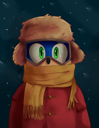 Size: 1500x1940 | Tagged: safe, artist:nunninaa, sonic the hedgehog, sonic the hedgehog 2 (2022), 2021, coat, front view, goggles, hat, looking at viewer, redraw, scarf, ski goggles, snow, snowing, solo, ushanka hat, winter, winter outfit