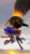 Size: 2160x3840 | Tagged: safe, artist:rotalice2, sally acorn, sonic the hedgehog, chipmunk, hedgehog, 2022, 3d, battle fortress, daytime, destroyed vehicle, duo, falling, female, holding hands, male, sally x sonic, sally's ringblader outfit, shipping, straight