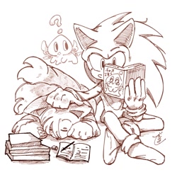 Size: 1280x1280 | Tagged: safe, artist:slow_footed8, miles "tails" prower, sonic the hedgehog, chao, 2025, book, duo, simple background, sittng, white background