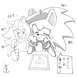 Size: 1280x1280 | Tagged: safe, artist:slow_footed8, shadow the hedgehog, sonic the hedgehog, 2025, duo, greyscale, hat, japanese text, looking at them, monochrome, simple background, speech bubble, white background