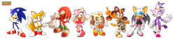 Size: 10714x2398 | Tagged: safe, artist:jcthornton, amy rose, blaze the cat, cream the rabbit, knuckles the echidna, miles "tails" prower, rouge the bat, sonic the hedgehog, sticks the badger, 2025, 3d, absurd res, group, looking at viewer, simple background, standing, transparent background