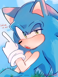 Size: 768x1024 | Tagged: safe, artist:slow_footed8, sonic the hedgehog, 2025, english text, grass, looking at viewer, solo