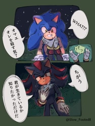 Size: 768x1024 | Tagged: safe, artist:slow_footed8, shadow the hedgehog, sonic the hedgehog, 2025, blushing, comic, duo, gay, grass, lying down, outdoors, shadow x sonic, shipping, smile, speech bubble, star (sky)