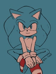 Size: 768x1024 | Tagged: safe, artist:slow_footed8, sonic the hedgehog, 2025, blue background, looking at viewer, monochrome, simple background, sitting, smile, solo