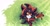 Size: 2048x1077 | Tagged: safe, artist:justashedd, shadow the hedgehog, hedgehog, 2025, claws, eyes closed, gloves off, grass, lying down, lying on side, male, outdoors, pawpads, sleeping, solo, sparkles, sunlight