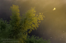 Size: 1500x978 | Tagged: safe, artist:special-stage-art, sonic the hedgehog, super sonic, hedgehog, 2025, flying, nighttime, outdoors, side view, solo, star (sky), super form, tree