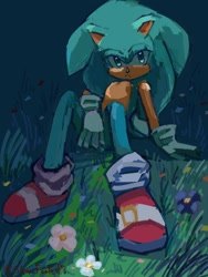 Size: 768x1024 | Tagged: safe, artist:slow_footed8, sonic the hedgehog, 2025, flower, grass, sitting, solo