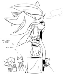 Size: 1000x1200 | Tagged: safe, artist:9scati, rouge the bat, shadow the hedgehog, bat, hedgehog, 2025, alternate outfit, bag, clothes, coat, dialogue, duo, duo focus, frown, holding something, korean text, line art, looking at viewer, monochrome, question mark, scarf, simple background, standing, text, white background