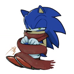 Size: 1314x1314 | Tagged: safe, artist:_sachi310_, sonic the hedgehog, hedgehog, 2025, cold, lidded eyes, looking at viewer, scarf, signature, simple background, sitting, solo, squinting, white background, winter, winter outfit