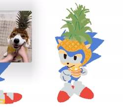 Size: 1650x1440 | Tagged: safe, artist:neku_646611, sonic the hedgehog, dog, 2025, hat, photo, reference inset, simple background, solo, standing, white background