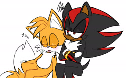 Size: 1778x1101 | Tagged: safe, artist:ilovetails, artist:insaneaboutthislittlefox, miles "tails" prower, shadow the hedgehog, 2025, arms folded, cute, duo, eyes closed, frown, gay, leaning on them, lidded eyes, mouth open, shadails, shadowbetes, shipping, simple background, sitting, sleeping, tailabetes, white background, zzz