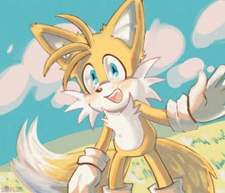 Size: 2048x1755 | Tagged: safe, artist:snkfl2, miles "tails" prower, 2025, abstract background, blushing, clouds, cute, daytime, looking at viewer, mouth open, outdoors, smile, solo, tailabetes