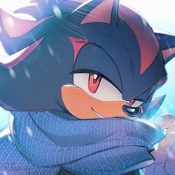 Size: 2048x2048 | Tagged: safe, artist:9raviolly, shadow the hedgehog, 2025, clenched teeth, lidded eyes, looking at viewer, scarf, signature, smile, solo