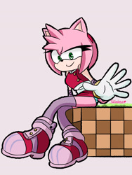 Size: 1536x2048 | Tagged: safe, artist:tangrinerizo, amy rose