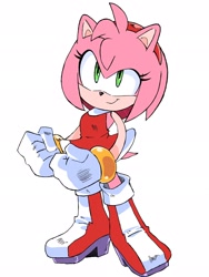 Size: 1536x2048 | Tagged: safe, artist:randomguy9991, amy rose, female, solo