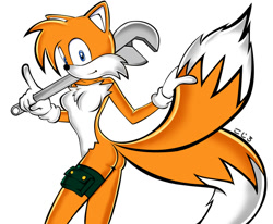 Size: 700x576 | Tagged: safe, artist:pensuke-kun, miles "tails" prower, oc, oc:tailsko, 2006, breasts, cleavage fluff, featureless breasts, gender swap, holding something, holding tail, looking at viewer, nike mouth, pointing, signature, simple background, solo, standing, uekawa style, white background, wrench