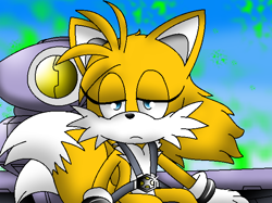 Size: 640x479 | Tagged: safe, artist:xxlovehedgehogxx, miles "tails" prower, 2012, abstract background, eyelashes, frown, gender swap, lidded eyes, looking at viewer, ms paint, seatbelt, sitting, solo, sonic x