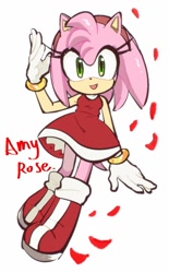 Size: 868x1400 | Tagged: safe, artist:sachiko22662079, amy rose, 2025, character name, looking offscreen, mouth open, petal, simple background, smile, solo, standing, white background